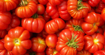 Etichetta pomodoro, firmato il decreto per l’indicazione dell’origine dei derivati