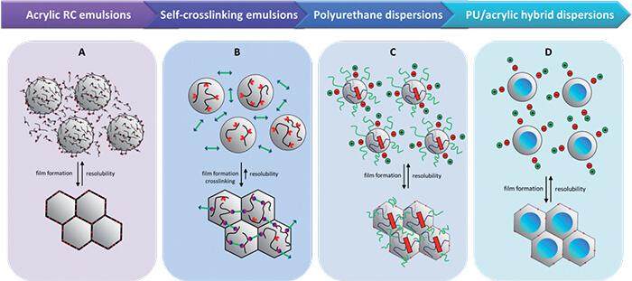 Schematic representation of water based resin chemistry evolution in film printing applications: (A) the ASR forms a membrane around polymer particles during drying, resulting in the presence of acid groups (red dots) that improve resolubility; (B) the crosslinking moiety present in the latex particle (red) is physically separated from its reaction partner in the water phase (arrows) and start reaction upon drying to form a polymer network in the film; (C) PUD particles stabilized by salt (+/-) and/or steric groups (green) enable influencing film formation and resolubility whereas the film properties can be steered by variation of hard/soft phase composition and internal crosslinking; (D) Salt-stabilized hybrid system with acrylic core and polyurethane shell giving a strong polymer film with acrylic domains 