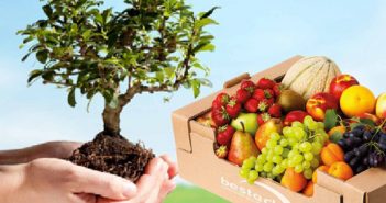 Bestack a Ecomondo racconta l’impegno green della filiera del cartone ondulato per ortofrutta