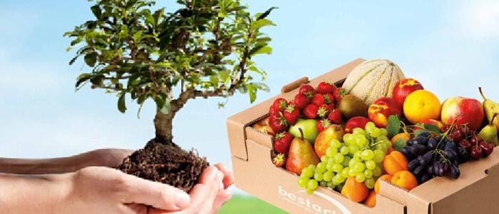 Bestack a Ecomondo racconta l’impegno green della filiera del cartone ondulato per ortofrutta