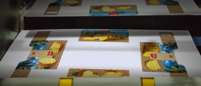Un autentico inchiostro a base acqua