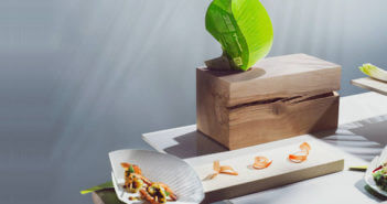 Metsä Board presenta un nuovo cartone barriera ecologico esente da plastica