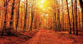 Appuntamenti d’autunno