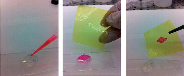 Realization of a very thin film on the surface of a triangular- shaped hydrogel block: (a) the PLGA / DMC solution is released in contact with the water-based surface, the formation of the membrane (b) is observed and, downstream of evaporation of the solvent, the polymeric film is recovered on a plastic support