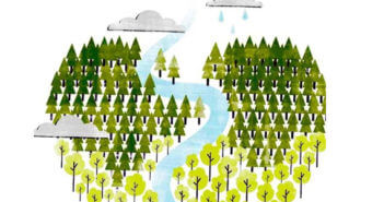Campagna globale Two Sides Anti-Greenwashing: 710 aziende hanno rimosso dichiarazioni ingannevoli contro la carta dai loro messaggi