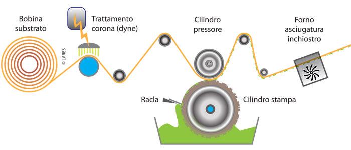 Conoscere la roto: il colore