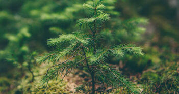 Pro-Carton aderisce alla campagna europea #Greensource