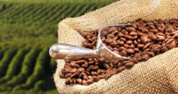Gruppo Coind aderisce al progetto RE.WIND®