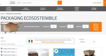 DS Smith fa leva sull’espansione dell’e-commerce in Europa e lancia ePack