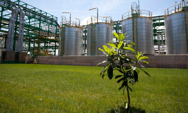 Versalis e Novamont: la partnership nella chimica verde si rafforza