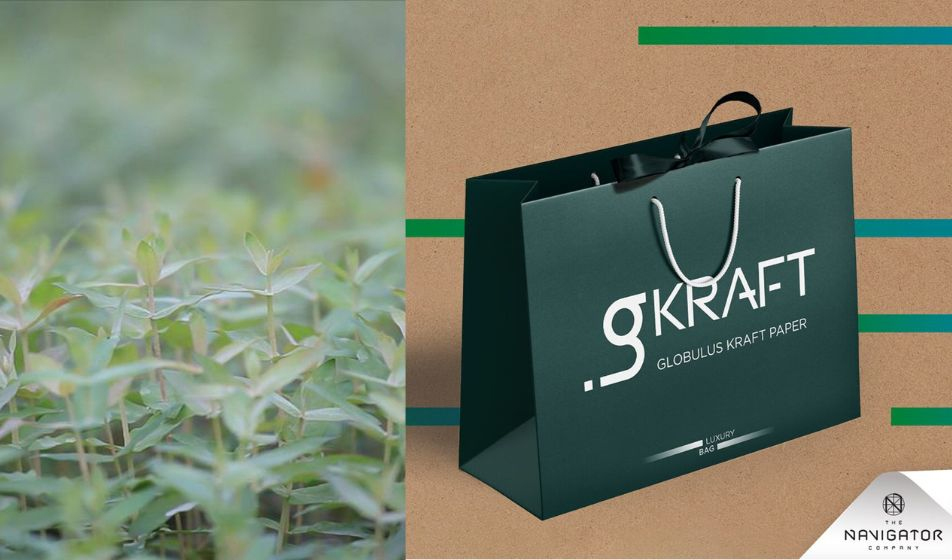 The Navigator Company ha presentato gKRAFT ai visitatori di Packaging Première