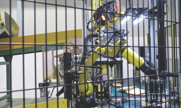 Così Amazon confeziona l’efficienza su misura