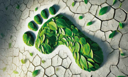 Prestampa: l’ESG (e i prodotti) che crea valore