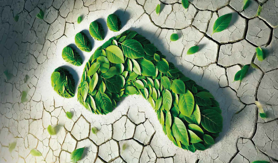 Prestampa: l’ESG (e i prodotti) che crea valore