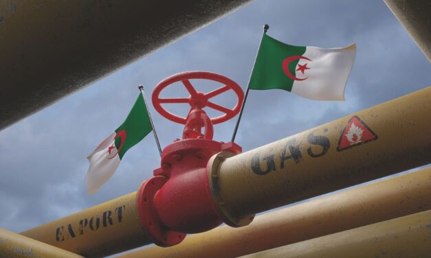 Le potenzialità del mercato algerino