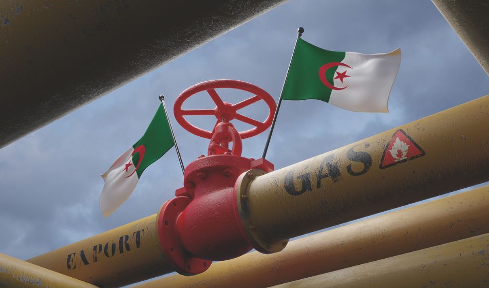 Le potenzialità del mercato algerino