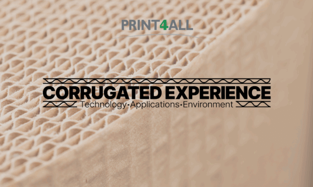 RE a Corrugated Experience: intervista a Stefano Mercante