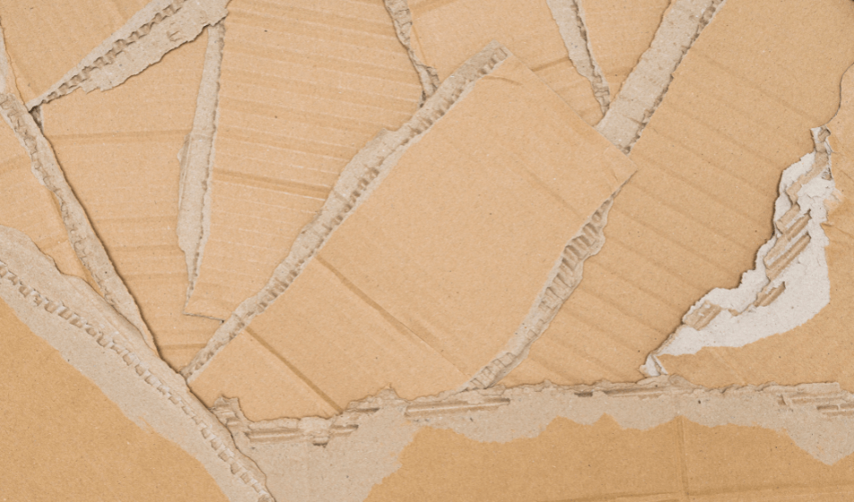 Il cartone ondulato in Italia: cifre, fenomeni, tendenze