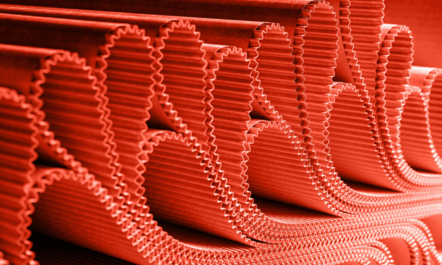 Le onde nel cartone ondulato: approfondimento sulla “anima” del corrugated