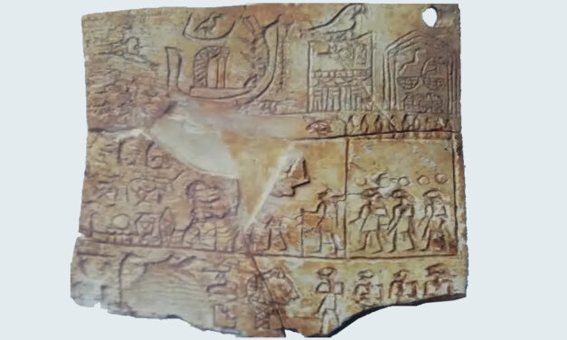 Storia delle etichette: hanno oltre 4900 anni