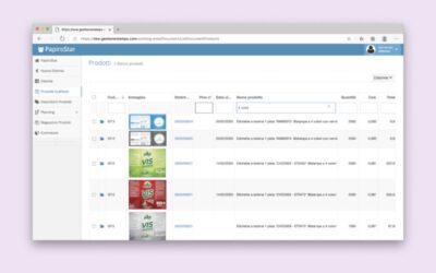 PapiroStar di Algola: la potenza dell’ERP, la libertà dell’integrazione