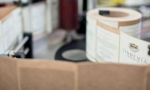 Gestione colore in stampa: i fattori che influenzano il segmento labelling