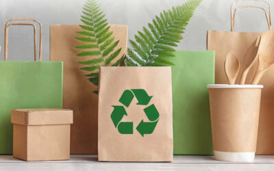 Federazione Carta e Grafica sul PPWR: forte preoccupazione sui recenti sviluppi