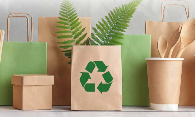 Federazione Carta e Grafica sul PPWR: forte preoccupazione sui recenti sviluppi