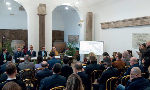 Dal Campidoglio al mercato: tutti i trend del cartone ondulato nel 2026