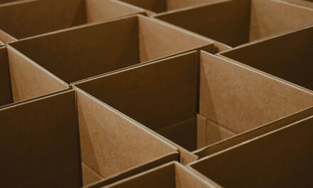 Hanway Ultra2500W Pro arrives in Italy – NGW GROUP