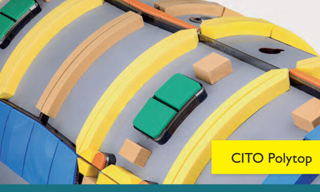 Corrugated cardboard diecutting: bridging variability and speed for constant quality