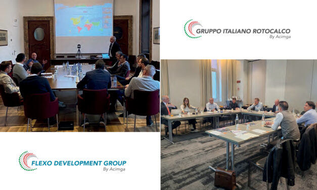 The technical compass of packaging between standards, data and innovation