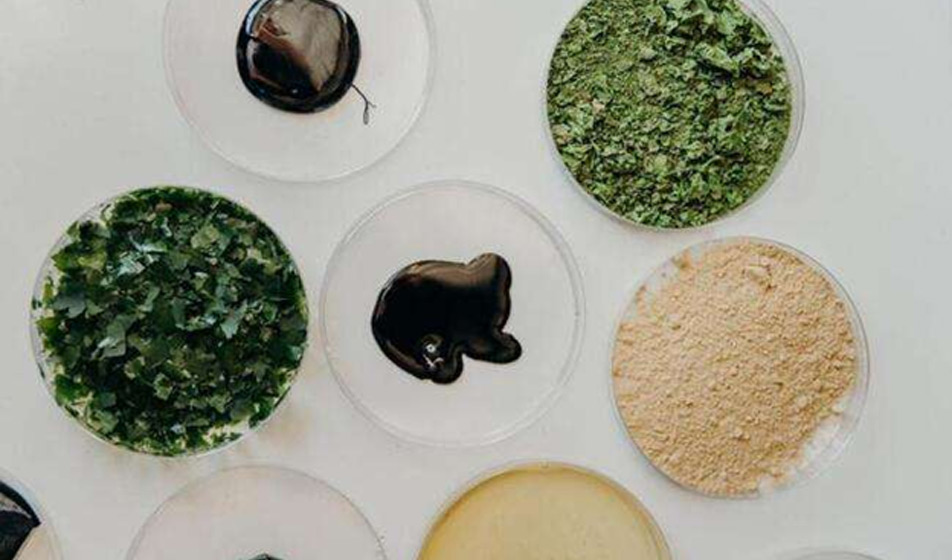 ACTEGA and Living Ink Technologies