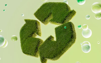 Normativa greenwashing: cosa cambia per chi comunica la sostenibilità