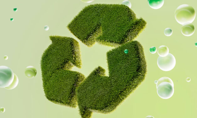 Normativa greenwashing: cosa cambia per chi comunica la sostenibilità