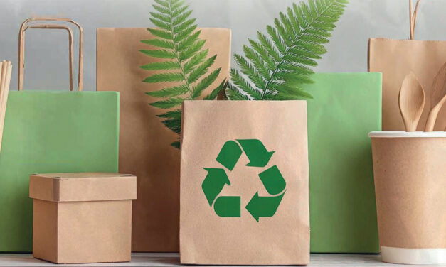 PPWR, il packaging entra nell’era della progettazione obbligata