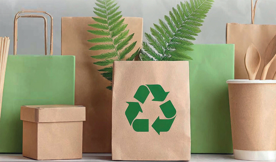 PPWR, il packaging entra nell’era della progettazione obbligata