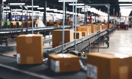 Packsize acquisisce Panotec e amplia la propria offerta globale di soluzioni automatizzate per il packaging
